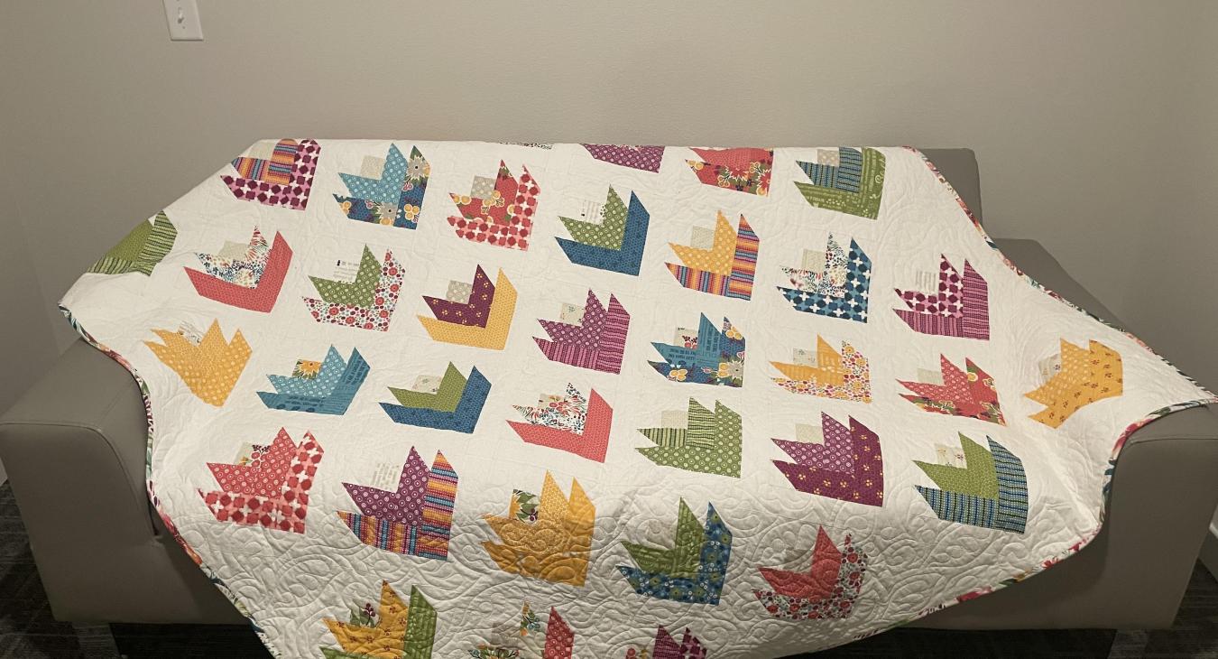 Longarm quilting services edge to edge